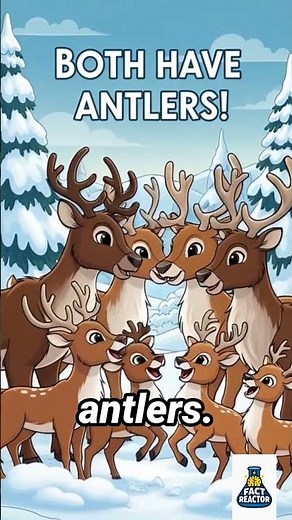 Deer Antlers: Males vs Females 🦌✨ #AnimalFacts