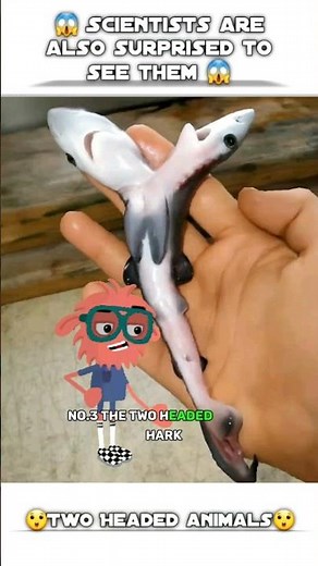 Two headed animals you wont believe exist😱🐍