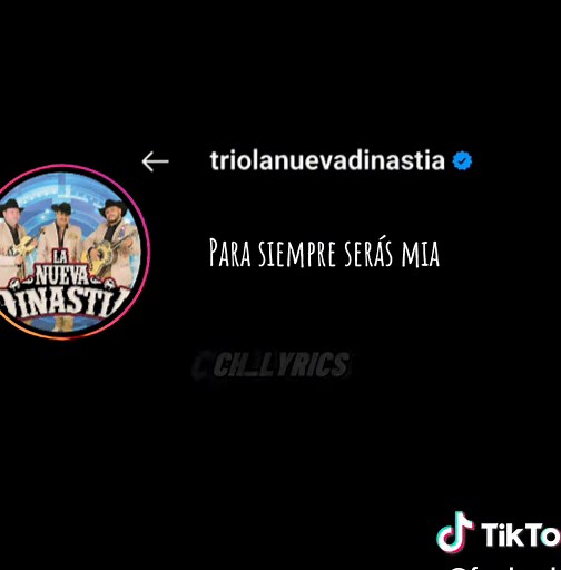 Si Me Permites - La Nueva Dinastía: Letra y Románticas Canciones