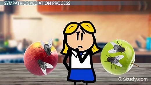 Sympatric Speciation | Definition, Process & Examples
