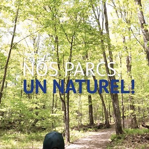 Découvrez la randonnée pédestre dans les parcs des Laurentides! | Tourisme Laurentides