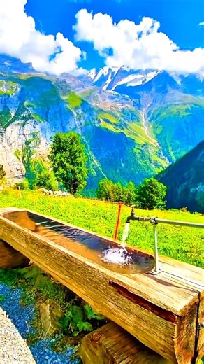 “Nature’s Beauty Will Calm Your Mind 🌿💧nature #beautiful #peaceful #relaxing #naturevibes
