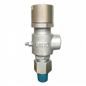 [Hot Item] Type A21h Spring Loaded Low Lift Safety Valve