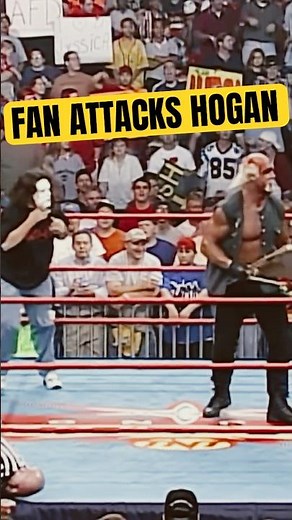 Fan In Sting Mask Attacks Hulk Hogan 🦂