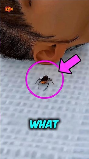 What REALLY Happens When a Bug Crawls in Your Ear.