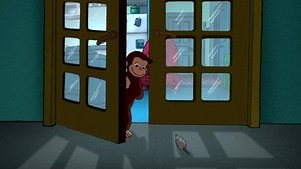 Curious George: Season 4 Episode 3 Night of the Weiner Dog! / Animal Trackers