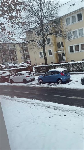 Ailan Schiruan (@ailan.schiruan)’s videos with الصوت الأصلي - ᏞᎪᏒᎪ