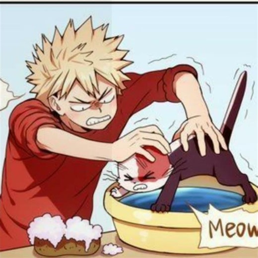 Todoroki in cat and Bakugo 😅😂😂#anime #memes #mha