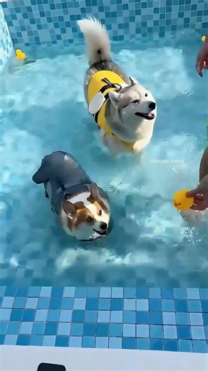 When One Loves Water and One Hates It