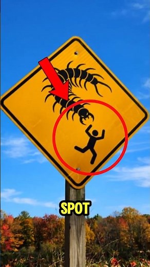 If You See This Giant Centipede Warning Sign… RUN FAST! 😱🐛