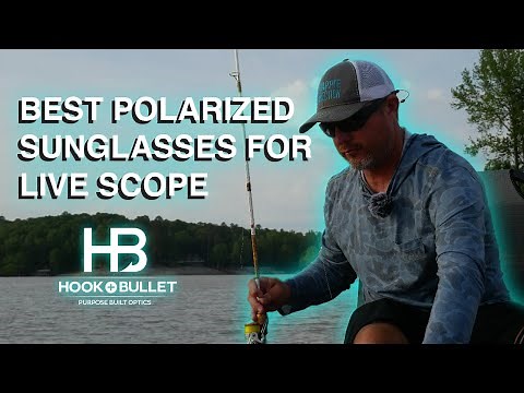 The Best Polarized Sunglasses for Live Scope
