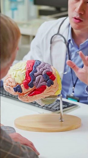 Left Brain vs Right Brain Myth vs Reality | What does the left side of the brain control?