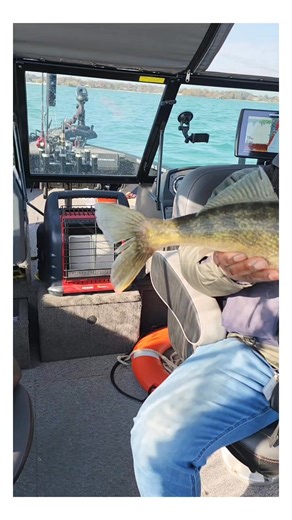 Somethings you have to experience on your own Get a hold of me! #hogs #pigs #walleye #pike #bass #mixedbag #trolling | Gilbert Singleton