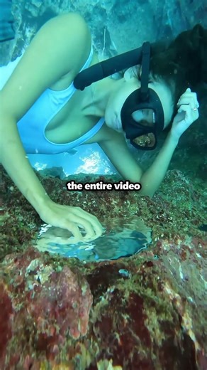 An Underwater Puddle... But How?!