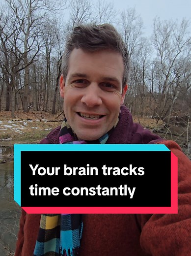 Enhancing Your Internal Clock Function for Better Time-Tracking