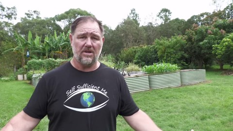 5 TIPS For BEGINNER Food Gardeners to Grow Veggies at Home