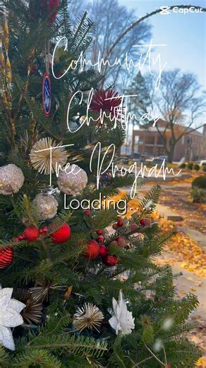 The Ottawa Downtown Association is hosting a Community Christmas Tree Program for the 2025 holiday season, where families, businesses, and organizations can sponsor, decorate, and light a tree in Washington Square Park. The program aims to raise funds for the Community Food Basket of Ottawa. #CommunityStrong | Bill Walsh Automotive Group