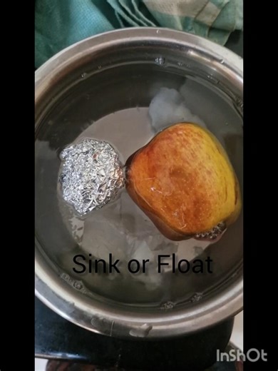 Sink or Float#Practical teaching methodologies#