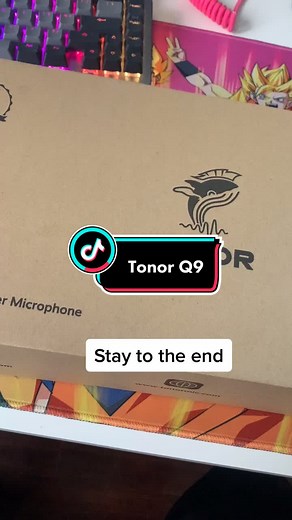 Ultimate Budget Gaming Setup with Tonor Q9 Microphone