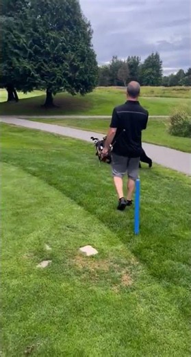A bear steals golf clubs from golf cart