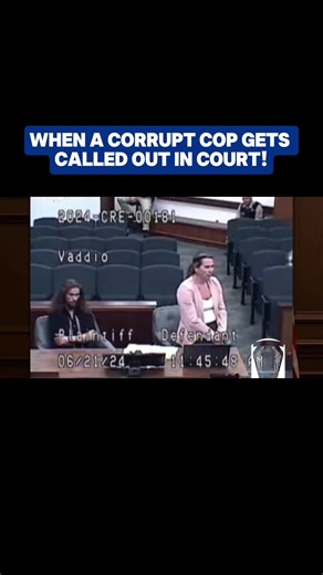 Part 4 | #law #lawyer #cops #court #happened