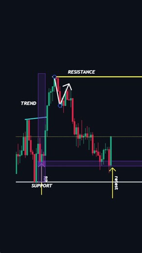 The Best Forex Trading Tips for Beginners