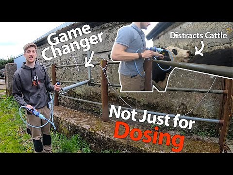 Drenching Cattle Has NEVER BEEN SO EASY!! | Floating Hook