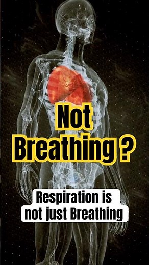 What is Respiration ? | Respiration: The Real Reason You Have Energy