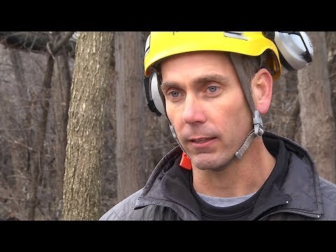 Oregon SpeedCut - Professional Saw Chain