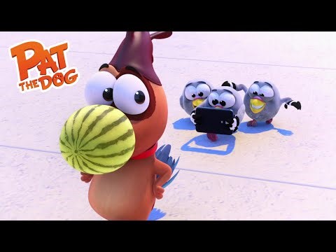 🐕‍🦺 Pat the Dog : EP30 - Where is my phone? | FULL EPISODE - Season 2