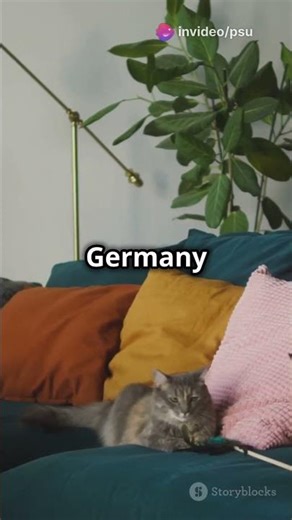 Surprising Cat Ownership Stats in Germany! 🐱🇩🇪