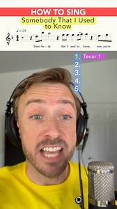 HOW TO SING Somebody That I Used To Know by Gotye | Peter Hollens