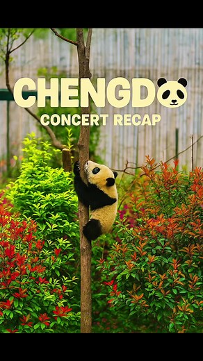 Chengdu Pandas: Daytime Cuddles & Nighttime Music Extravaganza