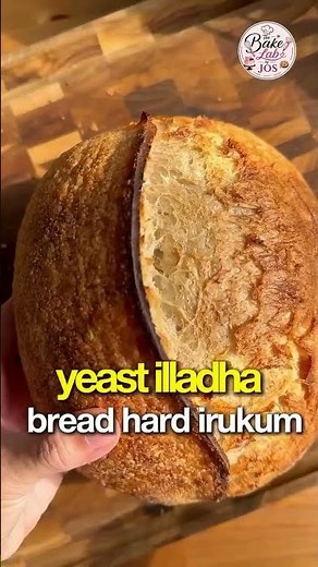 The Secret to Fluffy & Soft Bread: Understanding Yeast! 🍞