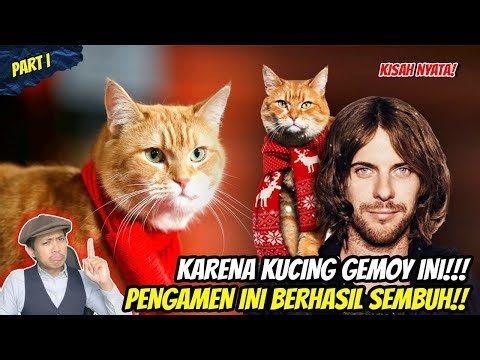 TRUE STORY! A GIRL BECOMES A SULTAN AFTER MEETING THIS ORANGE CAT! | A Street Cat Named Bob Story...