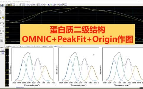 蛋白质二级结构（OMNIC PeakFit Origin作图）