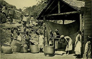 Tea tribes of Assam - Alchetron, The Free Social Encyclopedia
