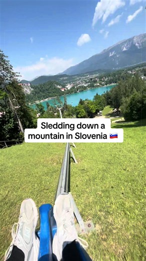 Sledding Down a Mountain in Slovenia: Alpine Winter Fun