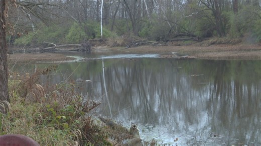 DPW moves ahead with levee project for Rocky Ripple