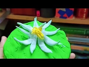 Study With Me Live Bangla | Class 11–12 | Silent Study | Pomodoro | Jannat Creations