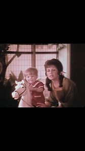 Pampers Disposable Diapers, 1960s | Daily Historical Pictures and Videos