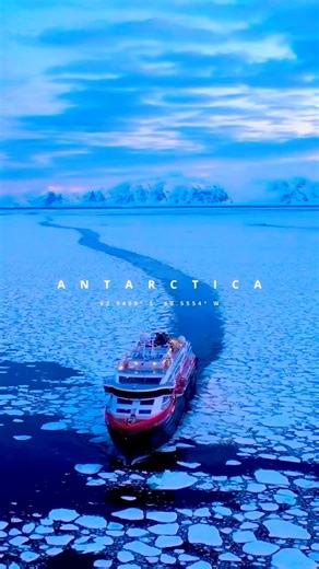 9 Nights in ANTARCTICA on Ocean Victory 🚢❄️ | Ultimate Cruise Experience!