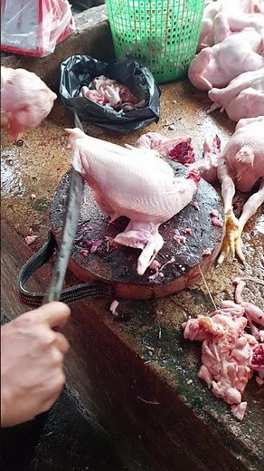 Chicken Cutting Skills: Understanding Chicken Anatomy