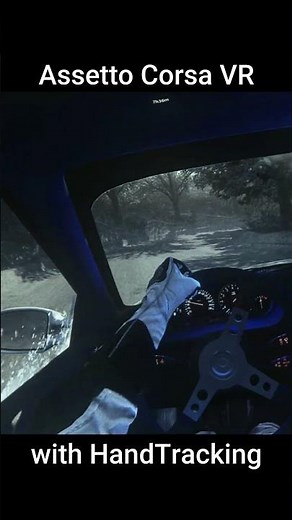 Assetto Corsa VR with HandTracking is amazing #virtualreality #virtualrealitygames #vrchat #foryou