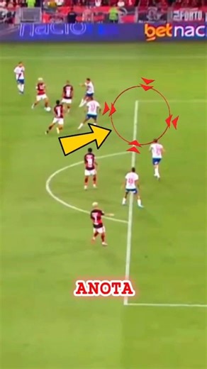 Os adversários do Flamengo vão pirar com isso #flamengo #futebol