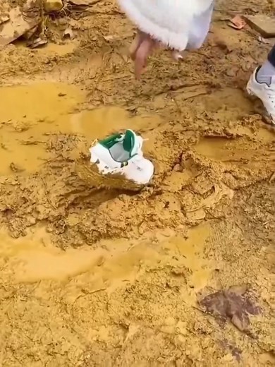 106 reactions · 4 comments |  २ तहको वर्षा बोटको आवरण - अत्यन्त...