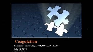Coagulation: ACVECC Exam Webinar July 10, 2019