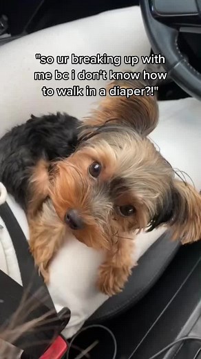 she do be drifting tho😂 #greenscreenvideo