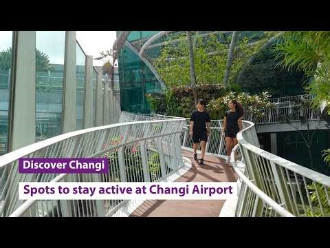 Discover Changi: Spots to Stay Active at Changi Airport