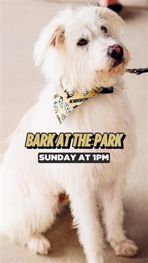 Can’t wait to host the goodest boys and girls at UCF Baseball Sunday at 1PM! 🐶 Upon entering, owners must sign a waiver for their pup at the marketing table 🐾 Puppy bathroom & clean up stations available on grass berms 👀 UCF Dog giveaways, prizes and more! | UCF Knights